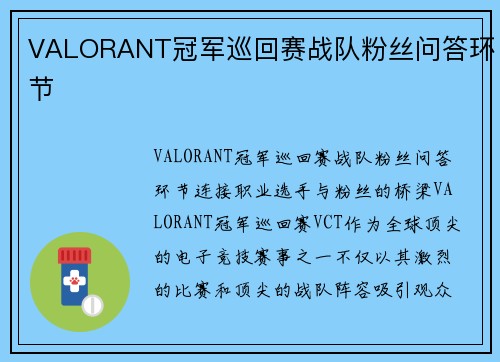 VALORANT冠军巡回赛战队粉丝问答环节